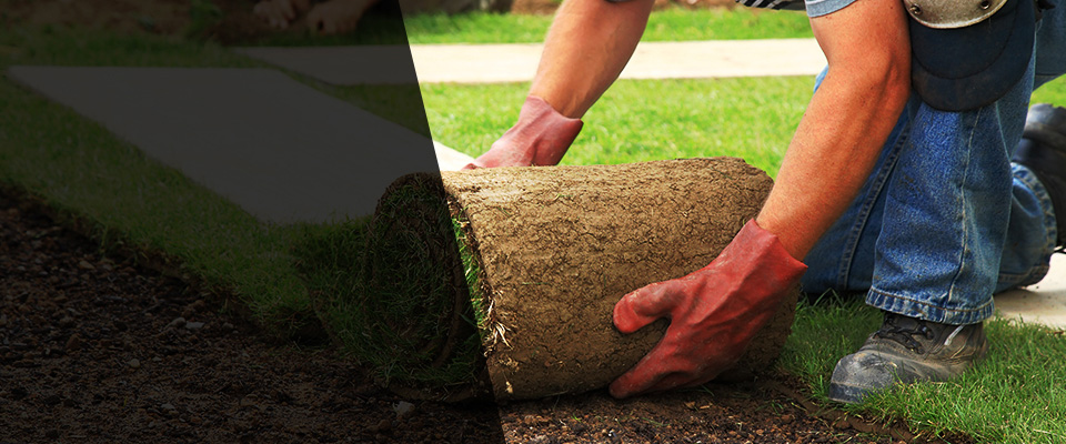 Stokesdale Landscapers